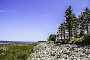 The shoreline along Cottage Three.